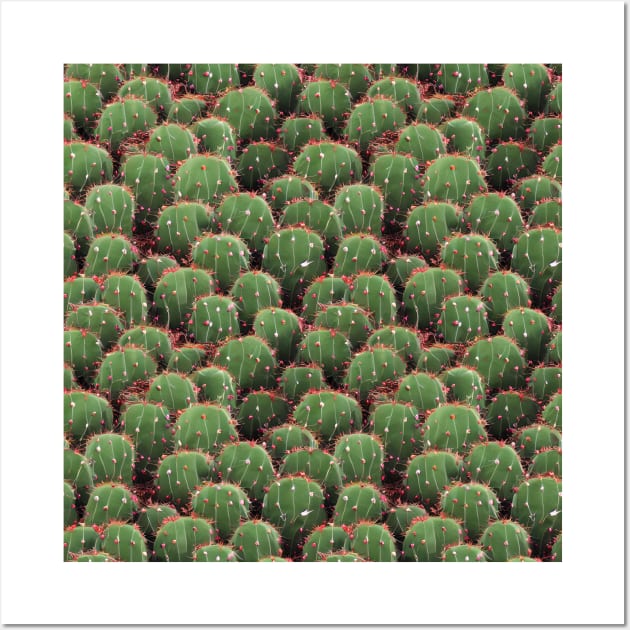 Cactus Design Wall Art by Patternz